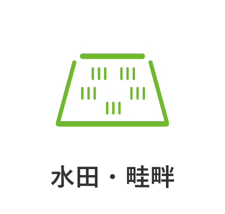 水田・畦畔
